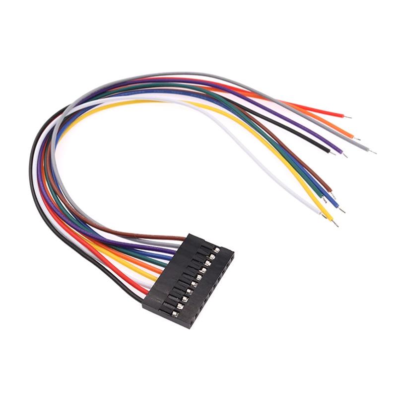 DuPont Single Head 200/300mm 2.54mm Connection Test Line 2P-10P Terminal
