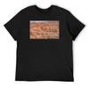 T-shirts e tops – T-Shirts