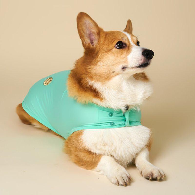 ANGEL DOG Puppy Summer Clothes Gaerism Cool Vest Mint
