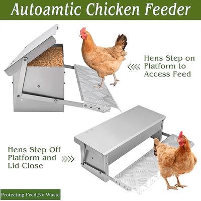 Automatic Poultry Feeder,Leak-Proof, Rainproof, No Battery Needed