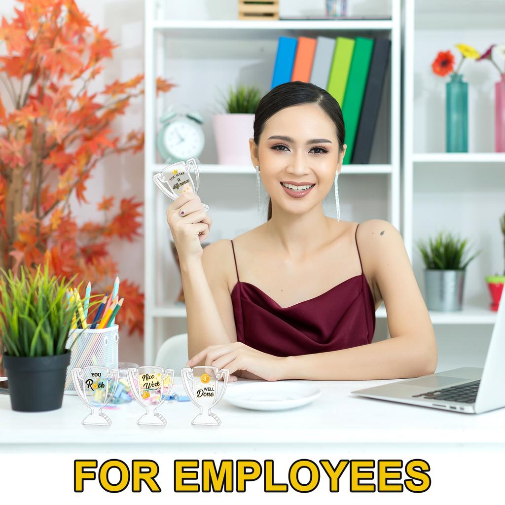 Piaopiaoniu 12 Pcs Appreciation Acrylic Trophy Awards Bulk Mini Employee Appreciation Gifts Small Thank You Plaque For Recogniti