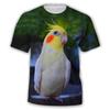 Summer hot selling fashionable personalized parrot fun 3D printed pattern funny eye-catching T-shirt