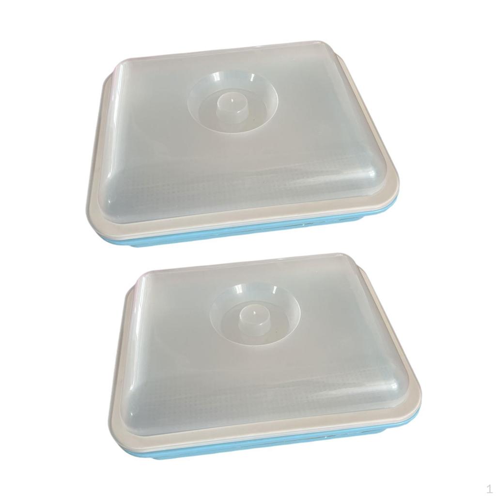 Seed Sprouting Trays for Plant Growth