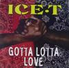 12inch Record ICET  Gotta Lotta Love 040737 Sire 1993 US Rap  HipHopRB Used