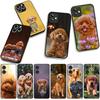 Golden Retriever Poodle Dog Cover Case for Samsung Galaxy A36 A17 A26 A07 A35 A54 A53 A13 A33 A34 S8 S9 S20 S21 FE S10 Plus