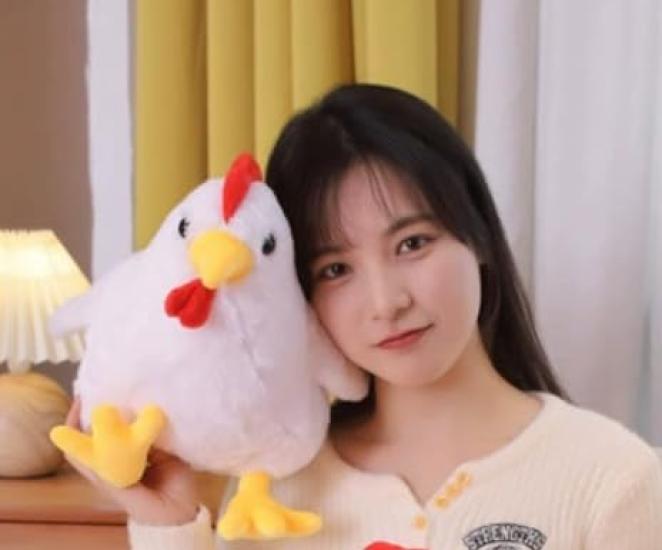 Cute Chicken Body Plush Cute Nap Perfect for Cute 4035 Cushion, Pillow, Toy, Realistic, Large, Animal, Bird, Pillow, Events, Gift, Chicken, Chicken,