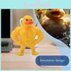 Ornament Originality Desktop Muscular Little Yellow Duck Stress Toy Relieving