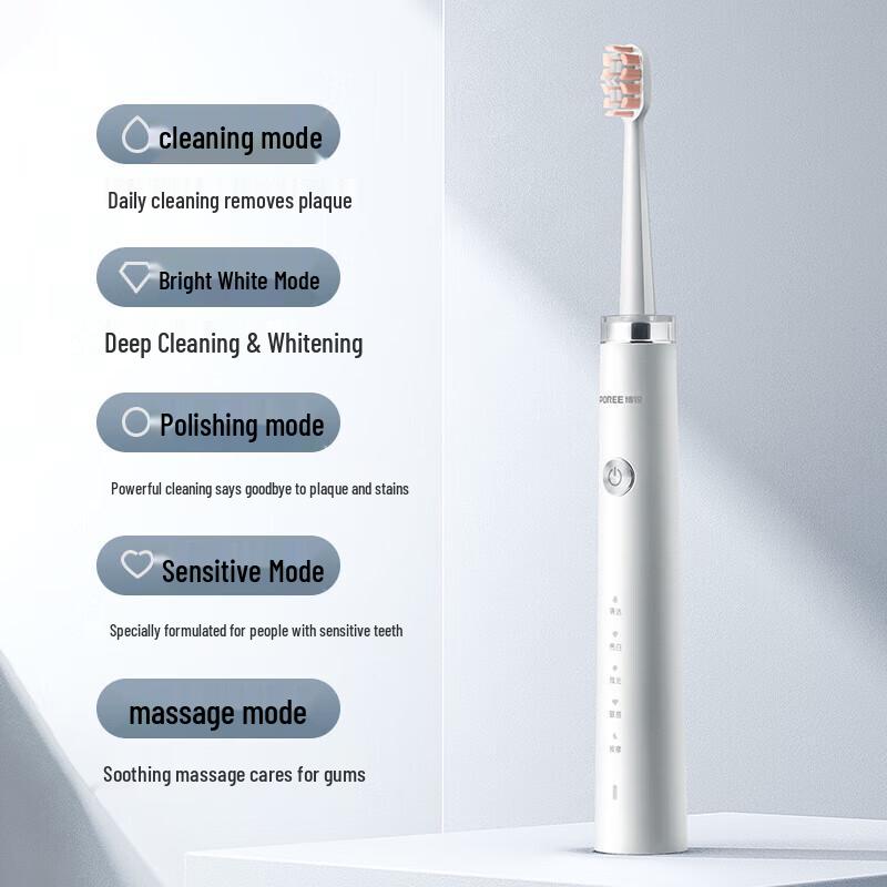 

FLYCO Borui PT1701 Smart Sonic Electric Toothbrush