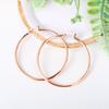 Big Hoop Earrings For Women Minimalist Circle Classic Cartilage Earring Rose Gold Color Hoops Fashion Jewelry Wholesale E780