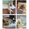 Cartoon Soft Deep Sleep Cat Pillow Kitten Headrest Dog Sleeping Pillow Pet Neck Protector