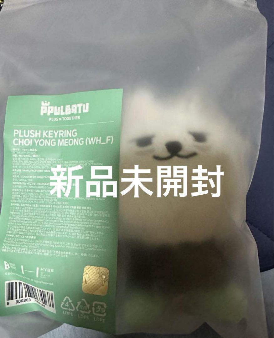 

[USED] TXT PPULBATU Key Ring Yongmon