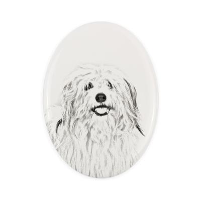 Coton De Tulear, Cotie - Commemorative Plaque with a Photo of a Dog, Tombstone with a Print, Personalized Oval Plaque from the Brand