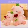 Four Leaves Clover Pig Hugging Heart Shaped Rose Doll Plush Toy Gift Animal
