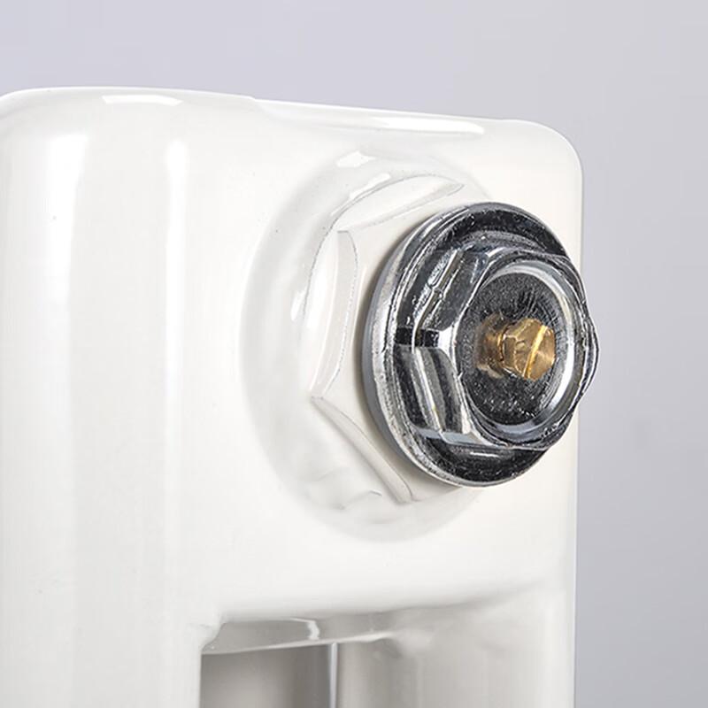 Tongshengda TS50-6030 Carbon Steel Wall Radiator