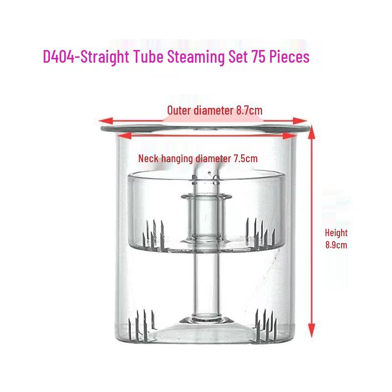 Glass Tea Pot Infuser & Inner Liner
