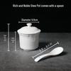 Bird's Nest Ceramic Stew Pot with Lid - Double Boiler Steaming Bowl for Soup & Steamed Egg, Pure White Tableware