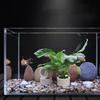 Gewichte Keramik 10 Stück Pflanzen Wasser Aquarium Pflanzen Befestigungsringe Aquarium Dekoration Zubehör Für Süßwasser Salzwasser