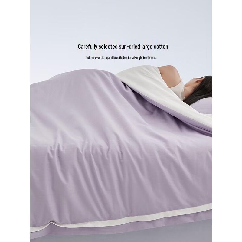 Luolai Home Textiles All-Season Washable Silk Quilt