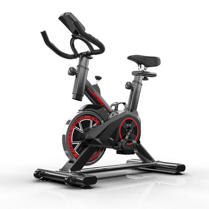 TLXT Indoor Silent Exercise Bike CN plug (adapter included)