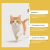 Colírio para Animais de Estimação para Gatos e Cães Manchas de Lágrima Secreção Obstrução Limpeza Cuidados Gotas para Animais de Estimação Gatos e Cães Universal(10 ml)