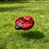 Butterfly Bees Water Feeder Promotes Healthy Ecosystem Garden Maintenance Cleaning Beekeeping Easy Maintenance