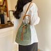 Korean Version of Simple Girl Small Fresh Woven Plaid Beach Vacation Women's Bucket Bag Literary Women's Shoulder Messenger Bag