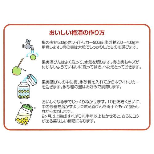 Takeya Chemical Industry TAKEYA Fruit Wine Bottle, Square, S-Shaped, 4.0L, Green, with Air Valve and Locking Function, Easy to Store, Square PET Mater