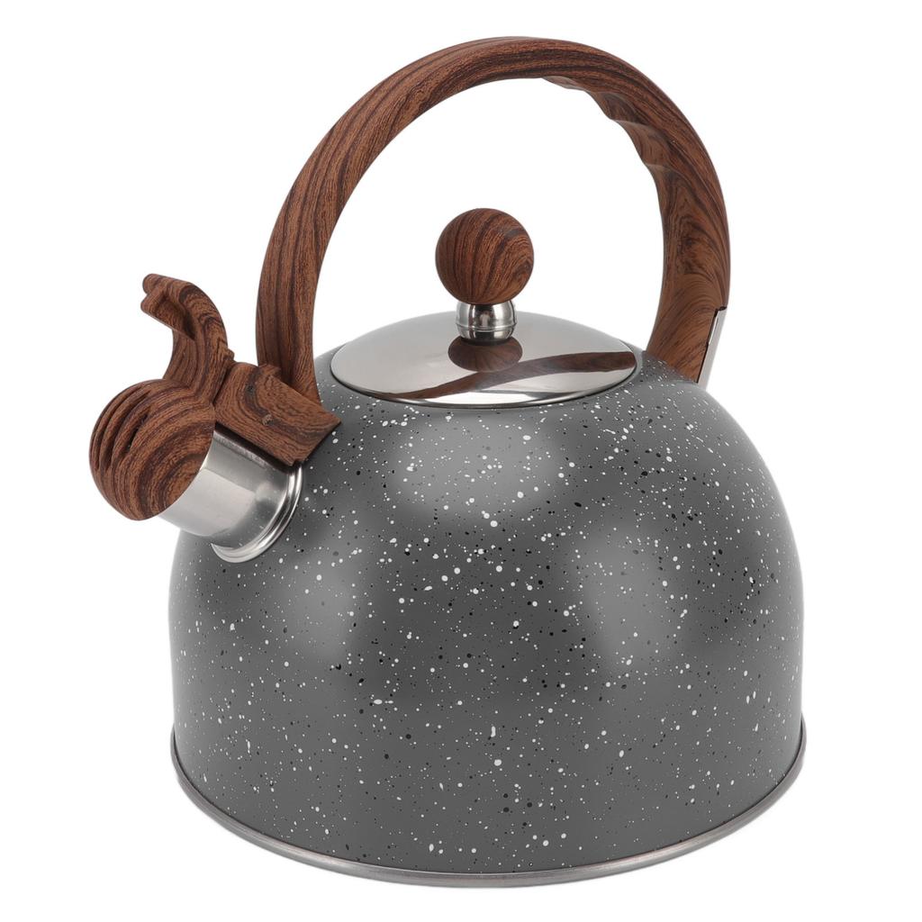 Whistling Kettle 2.5L Capacity Stainless Steel Stovetop Teapot for Water Boiling