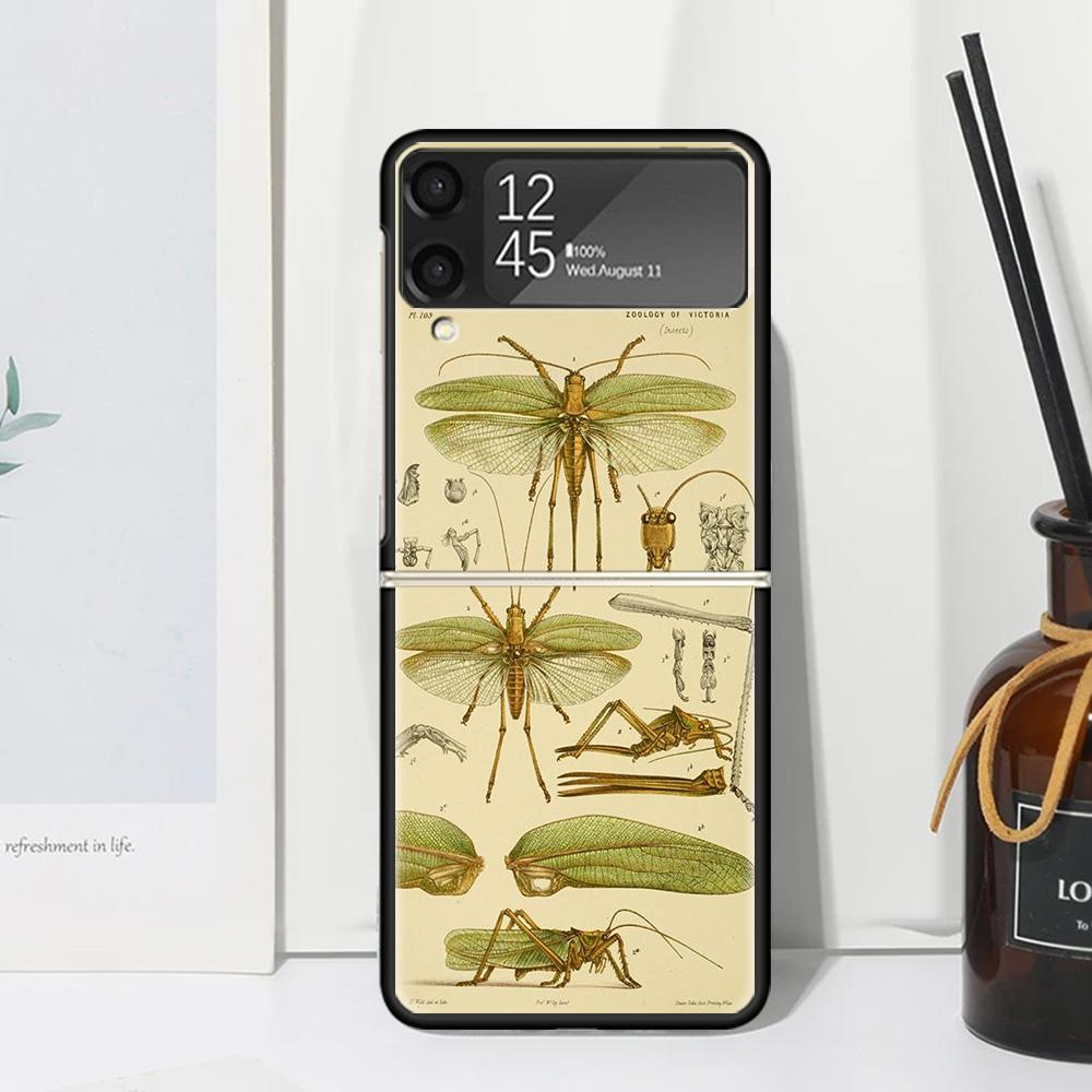 Bugs Bees Scientific Decomposition Phone Case Cover for Samsung Galaxy Z Flip 7 6 5 4 3 5G Flip3 Flip4 Flip5 ZFlip6 ZFlip7 Black