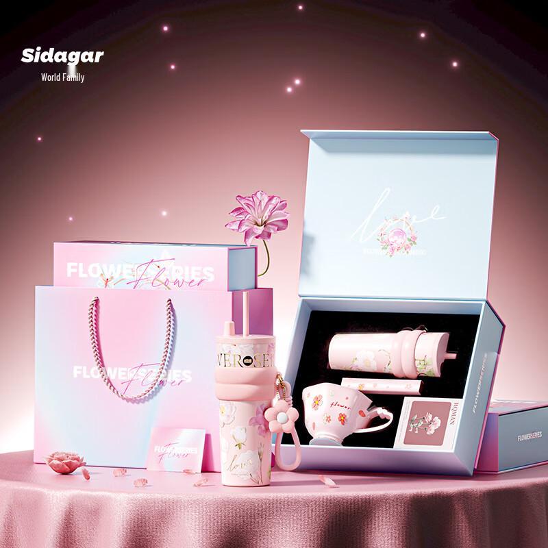 Shidajia Aurora Starry Night Insulated Cup Gift Set