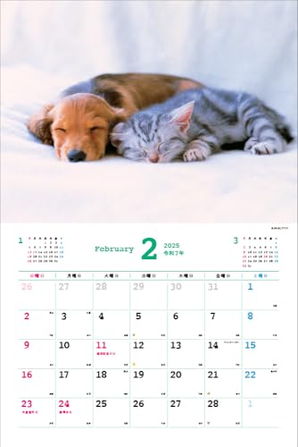 2025 Ημερολόγιο Nakayoshi Σκύλος/Γάτα <Γεμάτο χαριτωμενιά!> Κάθε μέρα είναι μια χαλαρωτική στιγμή > ([Ημερολόγιο])