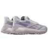 Reebok DMX Trail GORE-TEX Grey Stone Chalk Unisex Sneakers 100200884
