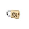BLOSSOM 20MM Copper Padlock