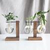 Hydroponic Plant Terrarium Vase Durable Clear Glass Ornament for Home Office Desktop Living Room Decoration
