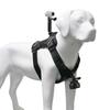 GoPro DJI Nano Action Camera Жилет для собаки Повідець для домашніх тварин з кріпленням для зйомки на грудях та спині Матеріал ABS Зроблено в Китаї