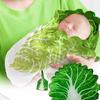 Baby Swaddle Blanket Cabbage Photo Blankets with Hat Infant Swaddle Wrap Unisex Blankets Memory Photography Background Props for Newborn Toddler