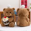 Cuter Teddy Bear Plush Toy With Cake Decoration For Kids And Teens