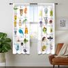 Abc Alphabet Kids Curtains Sheer Pocket Cartoon Animal Baby Boys Bedroom Decor Child Nursery Funny Learning Educational Fabric