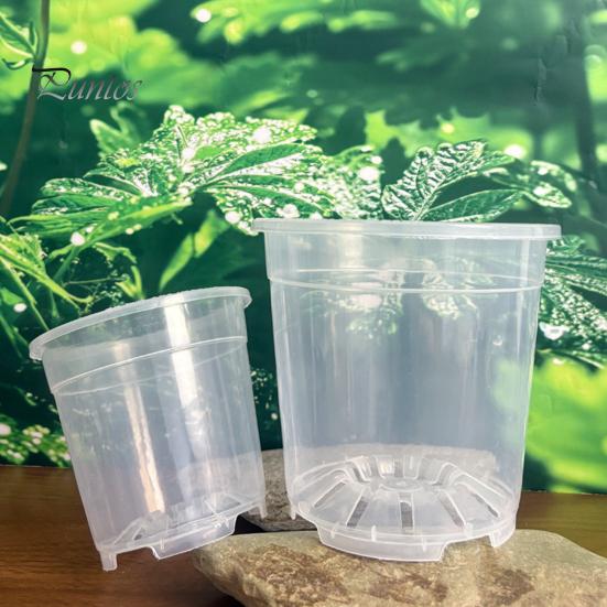 Breathable Plant Pots for Rootlets Clear Plastic Orchid Pot with Saucer, Drainage Holes, Ventilated Flower Rose, Phalaenopsis, Seedings Containers