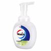 Walch Foaming Antibacterial Hand Soap