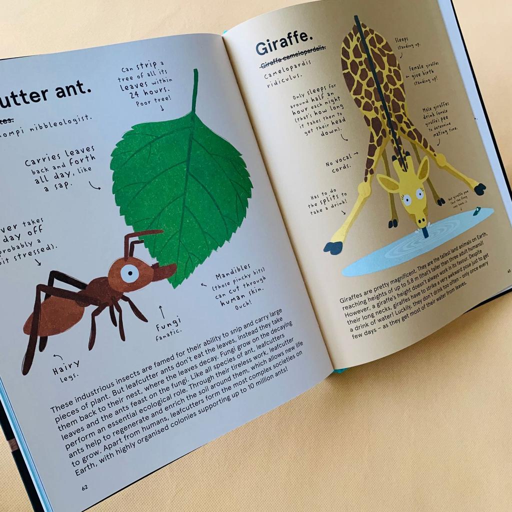 The World's Most Animals children's picture book, 3 volumes of popular science about strange animals in the world in English
