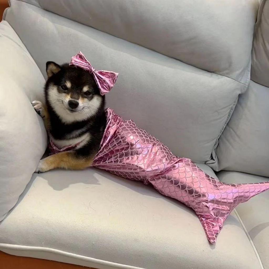 Pet Mermaid Tail Swimsuit Costume for Dogs and Cats