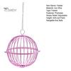 Hanging Chicken Feeder Hamster Rabbit Treat Ball Vegetable String Ball Poultry Fruit Holder with Adjustable Height Stainless Steel Chain Easy