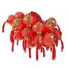 Solar Powered Red Lucky Lantern String Lights