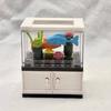Mini-Aquarium-Bausatz Indoor-Dekoration Geschenk für Teenager und Paare