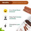 Naturalis Cinnamon Oil - Organic Cinnamon Essential Oil for Aromatherapy, Skin Care & Hair Growth - Therapeutic Grade Natural Oil - 30ml
