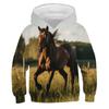 Kids Clothes Boy Hoodies Long Sleeve Creative 3D Horse Print Children Spring Fall Clothes Casual Stylish Outdoor Boy Clothes Top