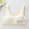 Anime Series Kitty Young Girl Vest BH Pubertet Pure Cotton Student Undertøy Sett Clean Health Jenter Feriegave