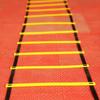Jing Nong Agility-Schnelligkeitstrainingsleiter