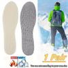 Unisex Adult  Warm Sheep Cake Velvet Insole, Moisture-Proof And Cold-Proof, Breathable Double-Sided Winter Foot Protection, Warm Insoles